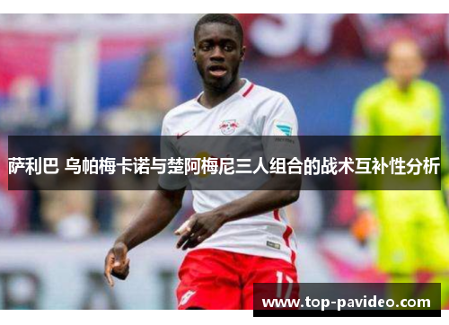 萨利巴 乌帕梅卡诺与楚阿梅尼三人组合的战术互补性分析